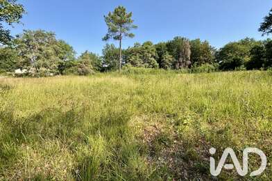 Terrain  49500 €