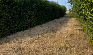 Terrain  2367 m² à vendre à Plou (18290)
