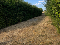 Vente Terrain 2 367 m&sup2; — photo 3