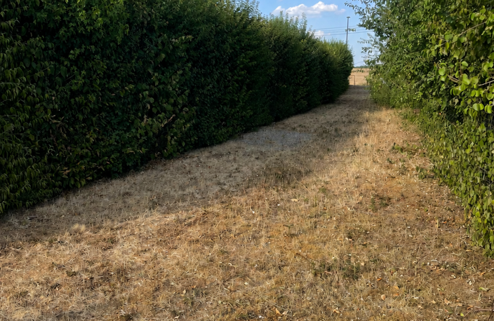 Vente Terrain 2 367 m&sup2; — photo 3