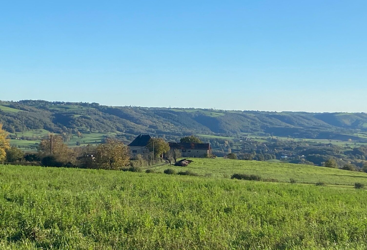 Maison, grange, dépendances, grand terrain. — photo 1