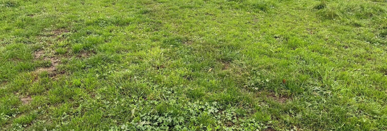 Terrain  790 m² à vendre à Candé (49440)