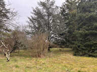 A VENDRE - Maison 4 pièces avec garage et jardin à Chazelet — photo 4
