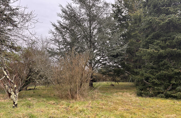 A VENDRE - Maison 4 pièces avec garage et jardin à Chazelet — photo 4
