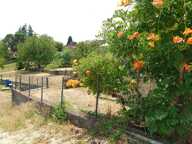 Maison de bourg en pierre avec terrasse et jardin — photo 2