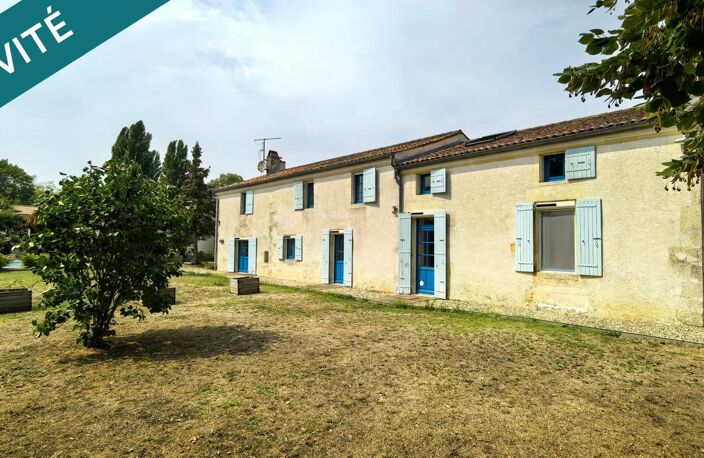 TAILLANT — photo 3