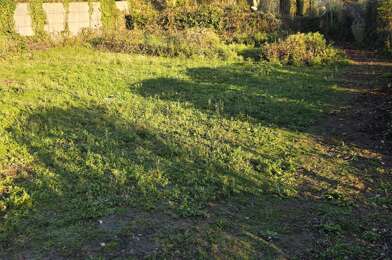 Terrain  55000 €