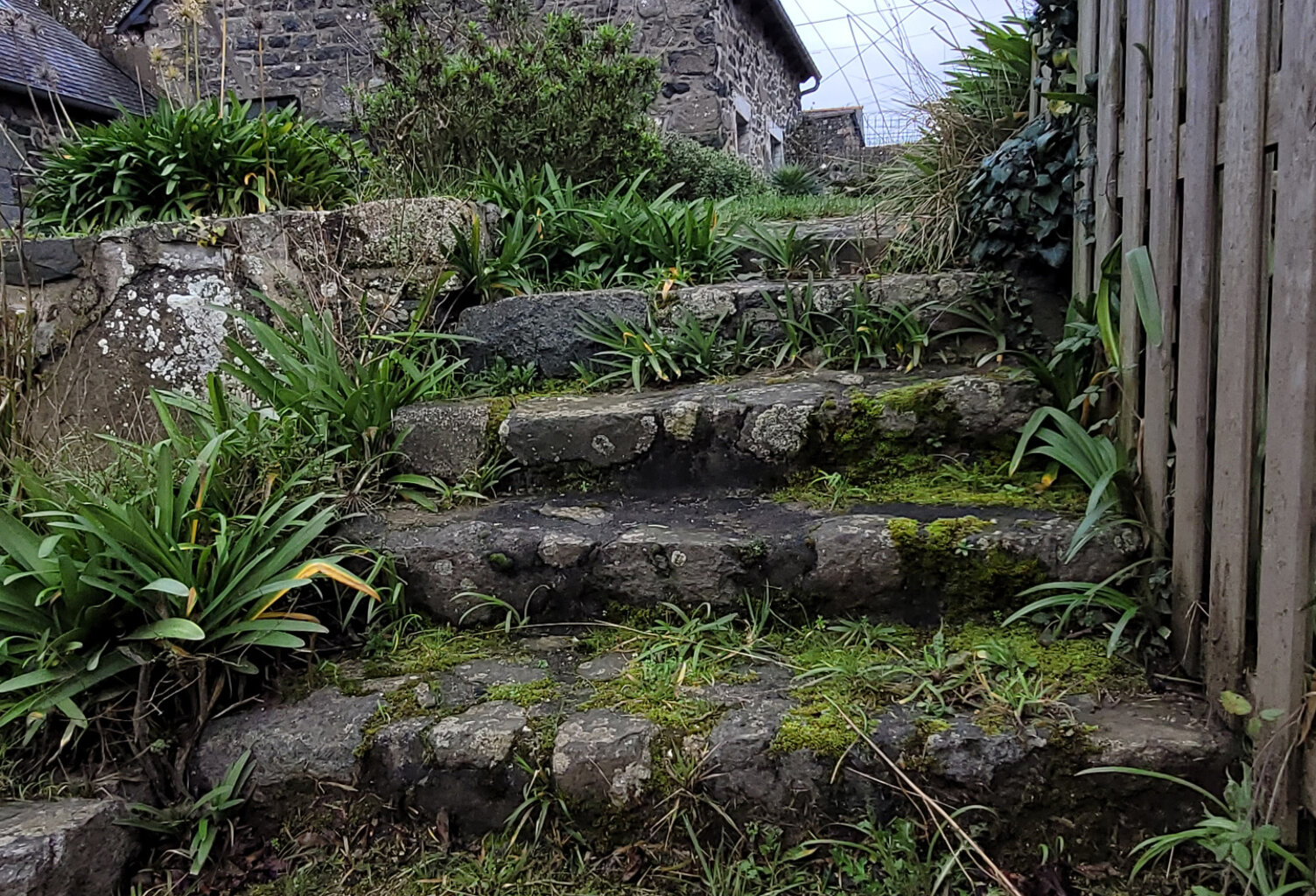 A vendre Maison avec Gite, proche mer, terrain clos et arbor — photo 1
