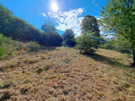 Terrain Charancieu — photo 2
