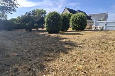 Terrain  313500 €
