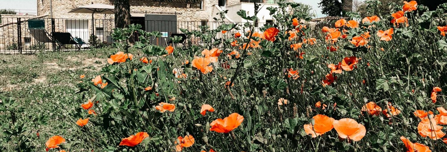 Photo N° 2