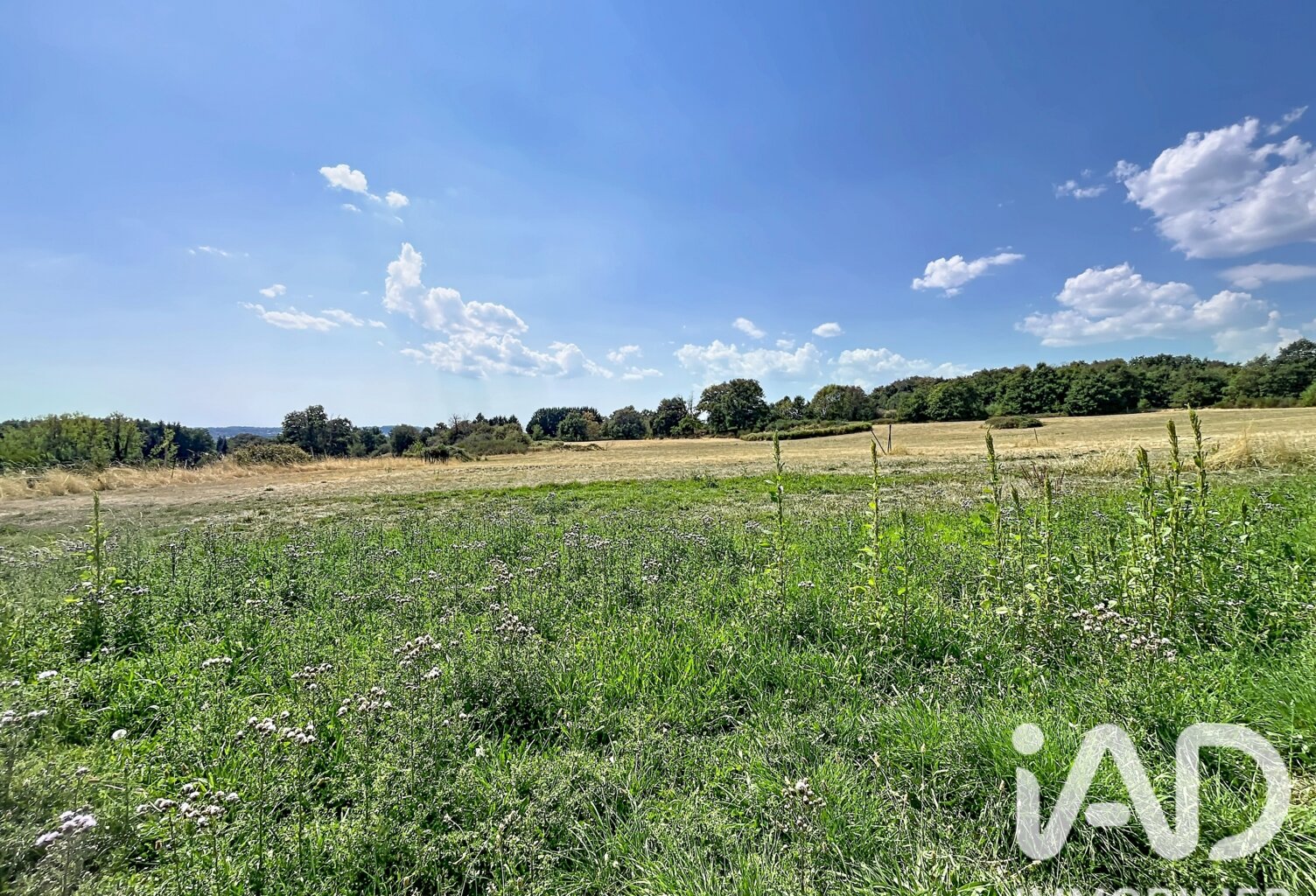 Vente Terrain à bâtir 1 631 m&sup2; — photo 1