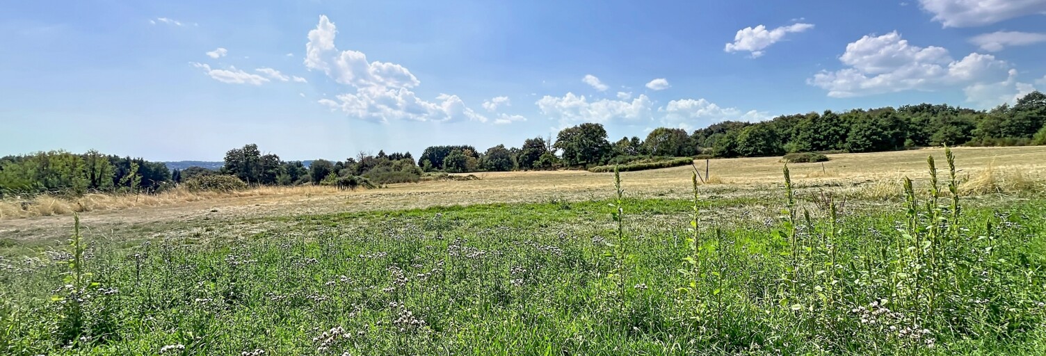 Terrain  1631 m² à vendre à Boisseuil (87220)
