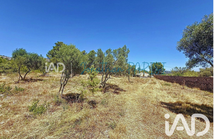 Vente Terrain à bâtir 7 436 m&sup2; — photo 4