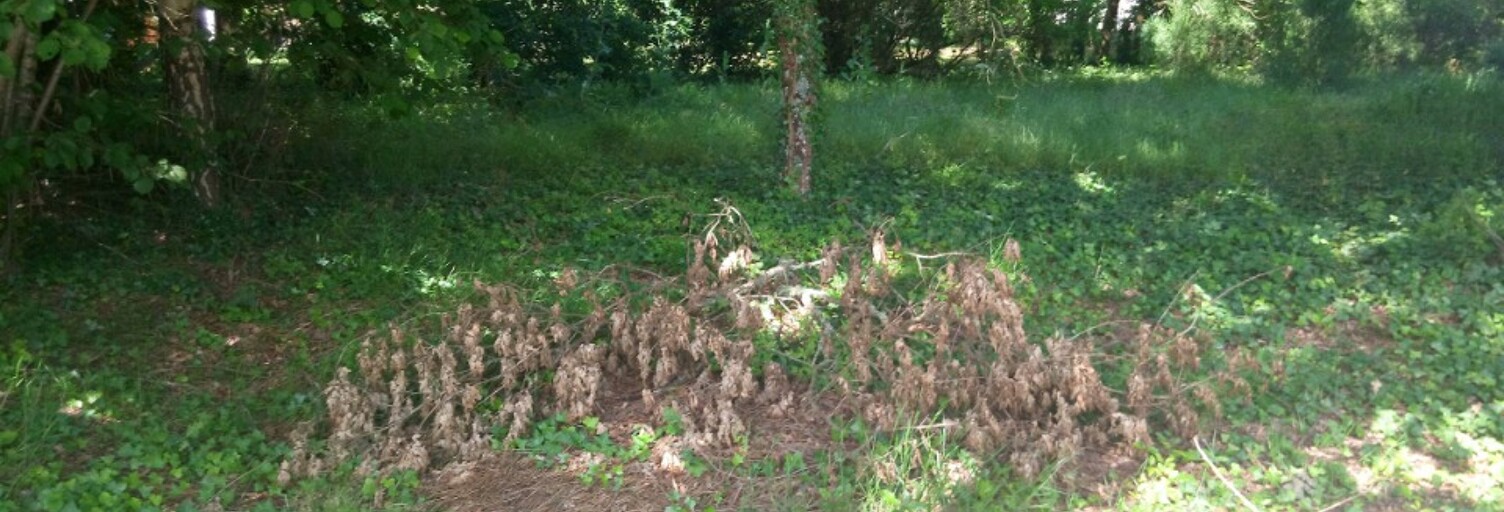 Terrain  630 m² à vendre à Lugos (33830)