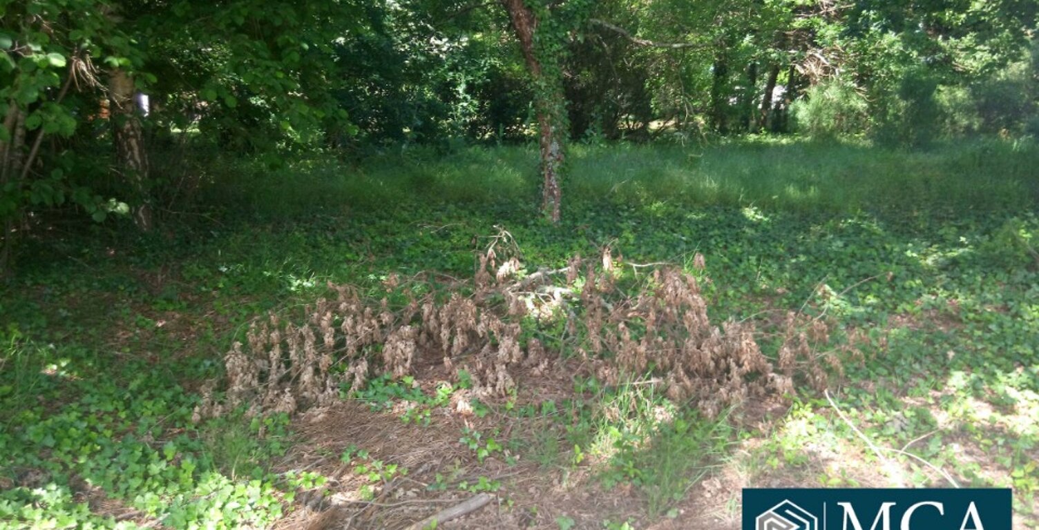 Terrain à bâtir à Lugos (33830) — photo 1