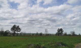 Terrain  995 m² à vendre à Coimères (33210)