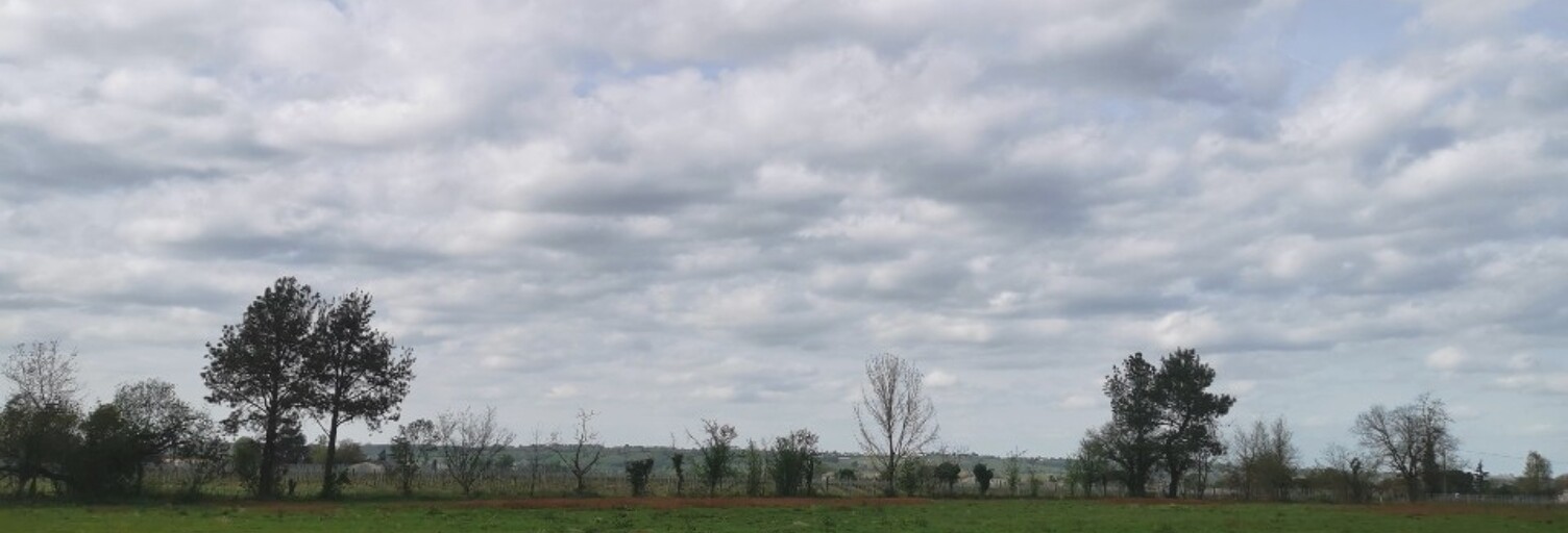 Terrain  995 m² à vendre à Coimères (33210)