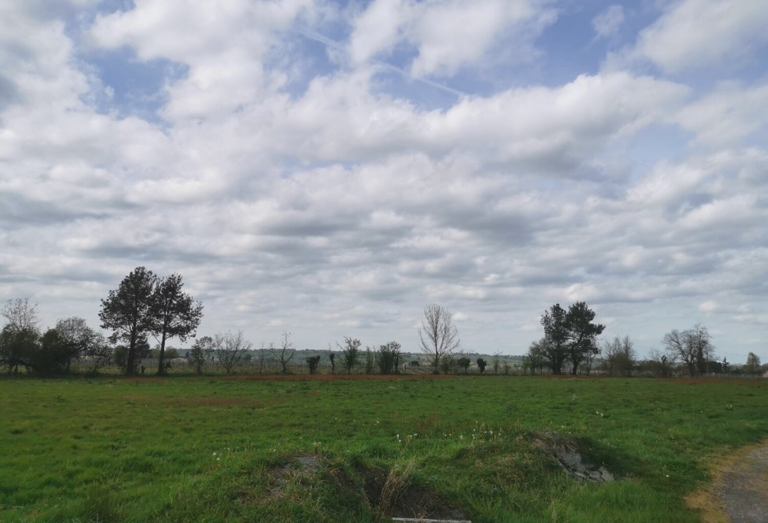 Terrain à bâtir à Coimères (33210) — photo 1