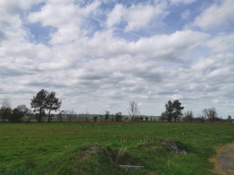 Terrain à bâtir à Coimères (33210) — photo 1