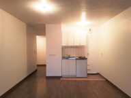 Studio de 33m2 à louer sur Villeneuve-le-Roi — photo 4