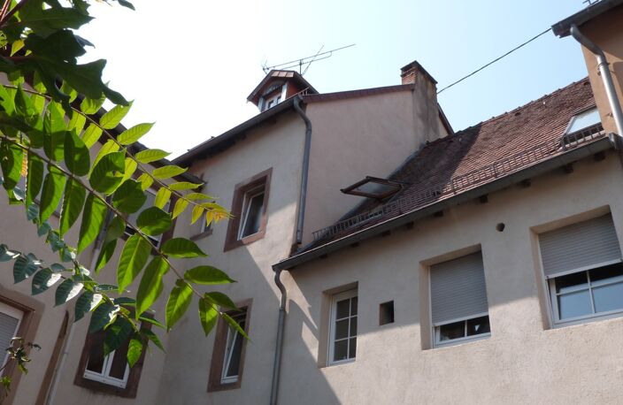 Appartement à vendre 2 pièces BITCHE (57) — photo 3
