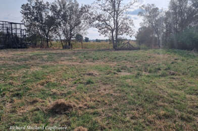 Terrain  82000 €