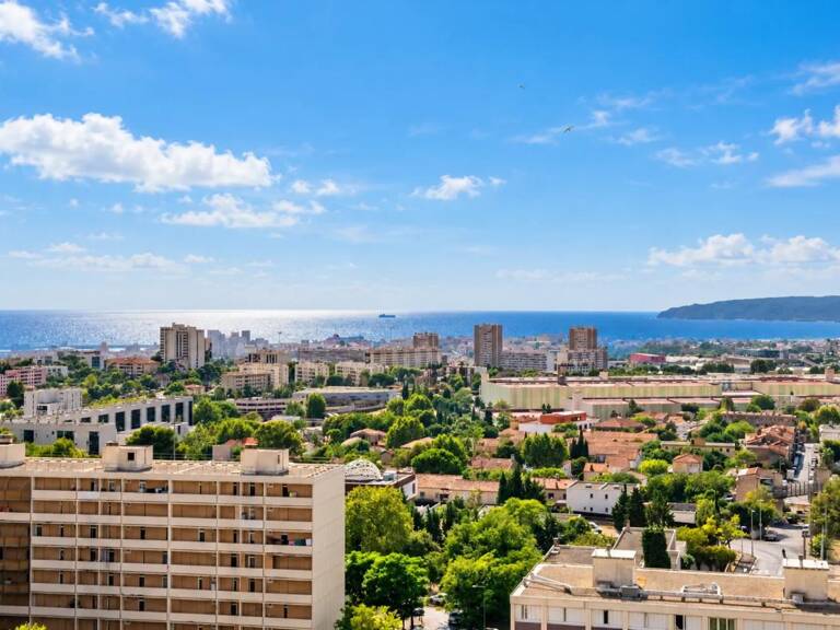 T4 DERNIER ETAGE ! avec VUE exceptionnelle! — photo 1