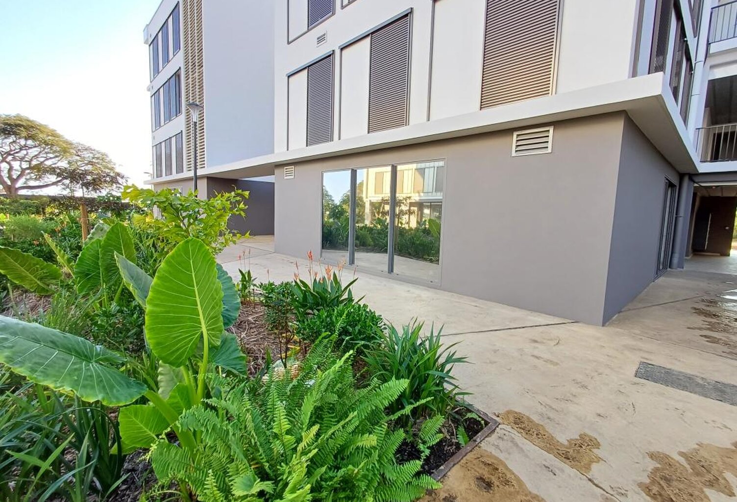 Local commercial  neuf 184 m² Sainte-Marie — photo 1