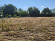 90400 Vezelois : Terrain à batir de 1316 m2 — photo 2
