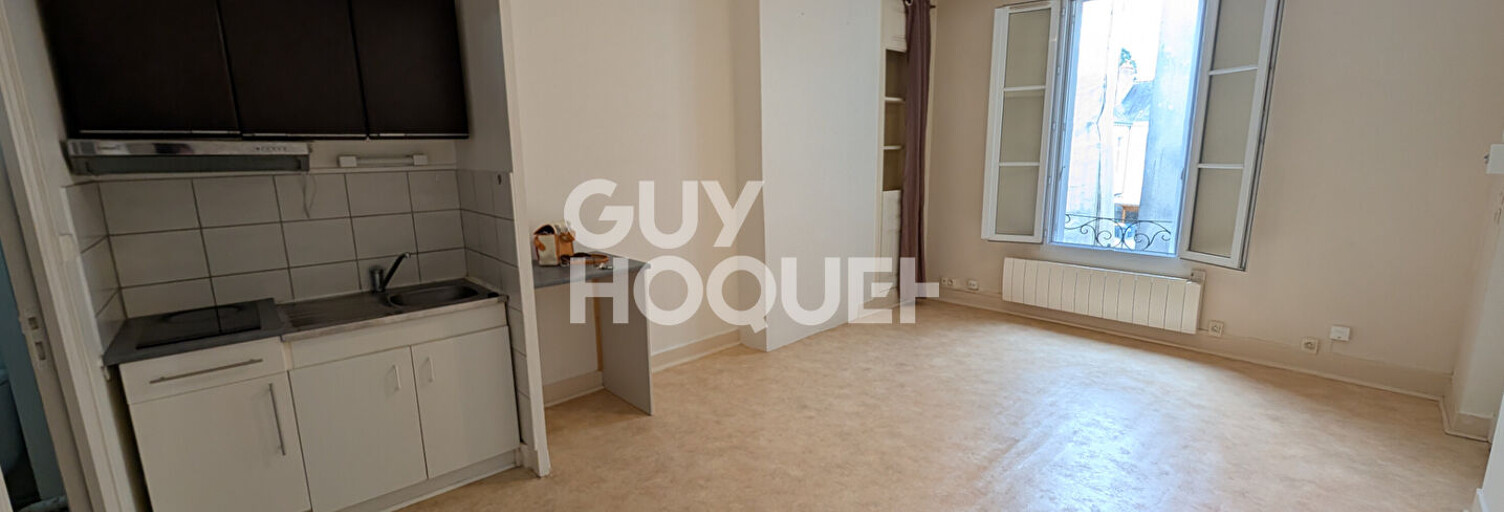 Appartement 1 Pièce 21 m² à louer à Tours (37000)