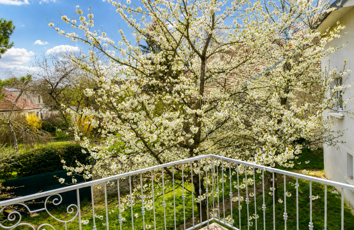 EN EXCLUSIVITÉ   Maison familiale à Ruffey-lès-Échirey — photo 3