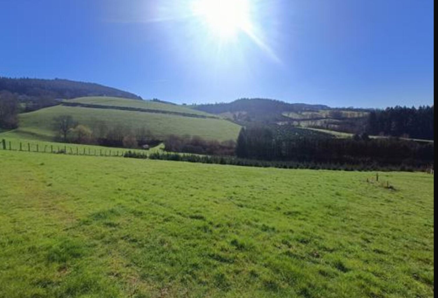 Vente terrain  1022 m² Cublize (69550) — photo 1
