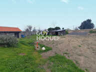 terrain — photo 2
