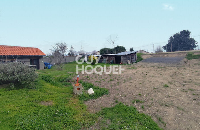 terrain — photo 2