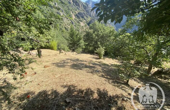 Grange en pierre 2 pièces à Bonson, 45 m², vue nature — photo 4