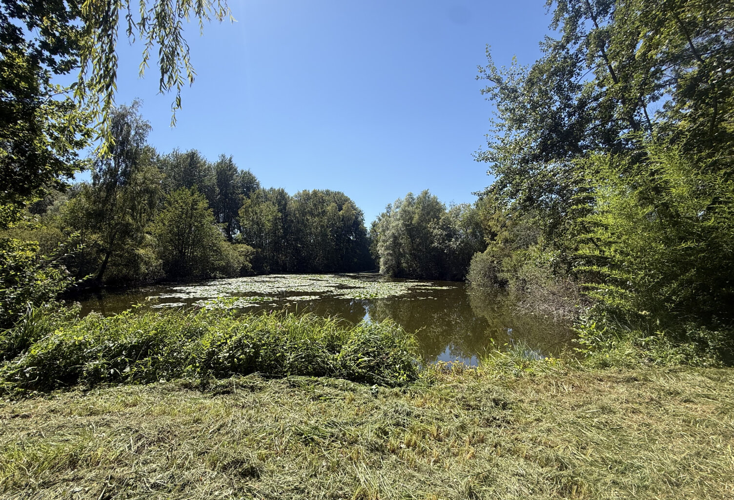 MOREUIL - CASTEL - ETANG - DEPENDANCE — photo 1