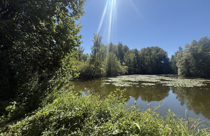 MOREUIL - CASTEL - ETANG - DEPENDANCE — photo 2