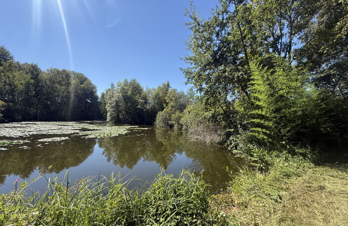MOREUIL - CASTEL - ETANG - DEPENDANCE — photo 4