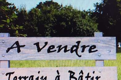 Terrain  95000 €