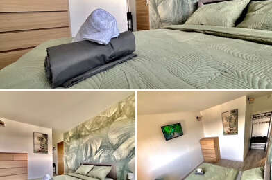 Appartement 1 pièces 450 €