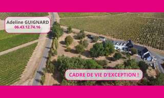Maison 9 Pièces 258 m² à vendre à Bellevigne-en-Layon (49750)