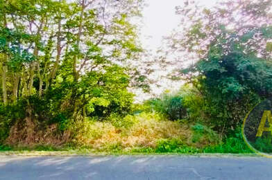 Terrain  160000 €
