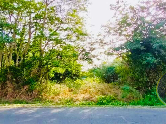 Terrain à bâtir de 4110m2 Talais ! — photo du bien