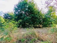 Terrain à bâtir de 4110m2 Talais ! — photo 2