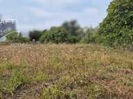 Terrain 618m2 en cours de division — photo 2