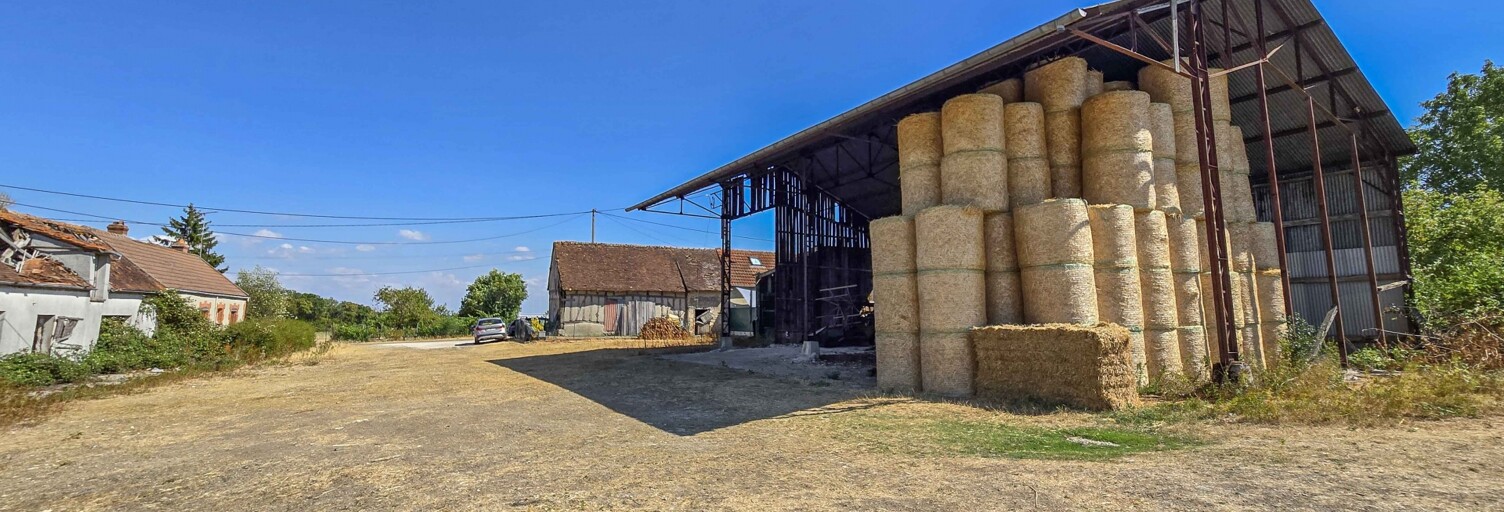 Maison 4 Pièces 80 m² à vendre à Fréville-du-Gâtinais (45270)