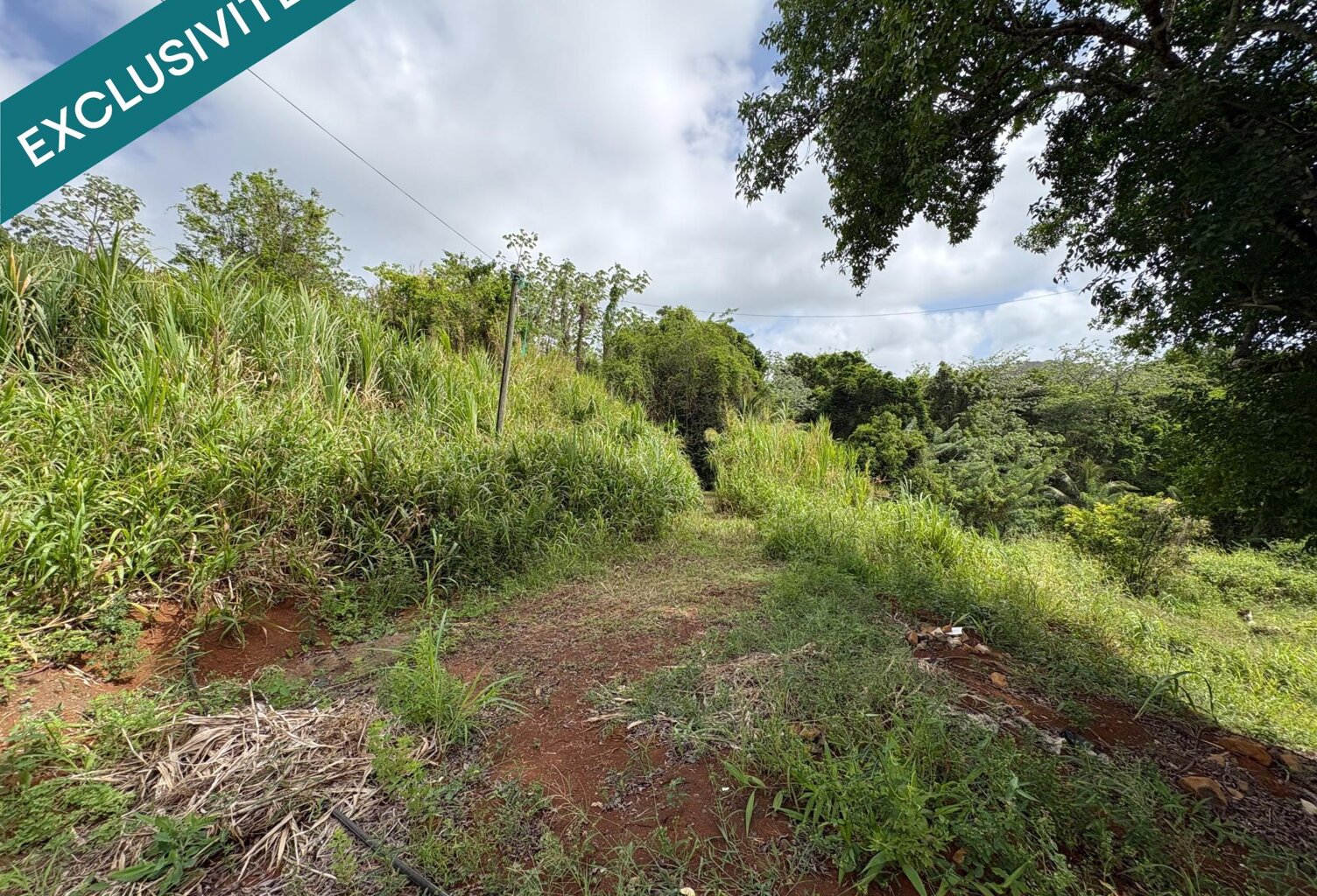 LE FRANCOIS : Terrain de 1 081 m2, Environnement verdoyant et paisible. — photo 1