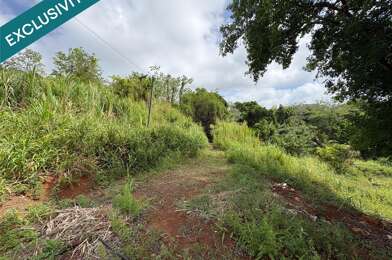 Terrain  134800 €