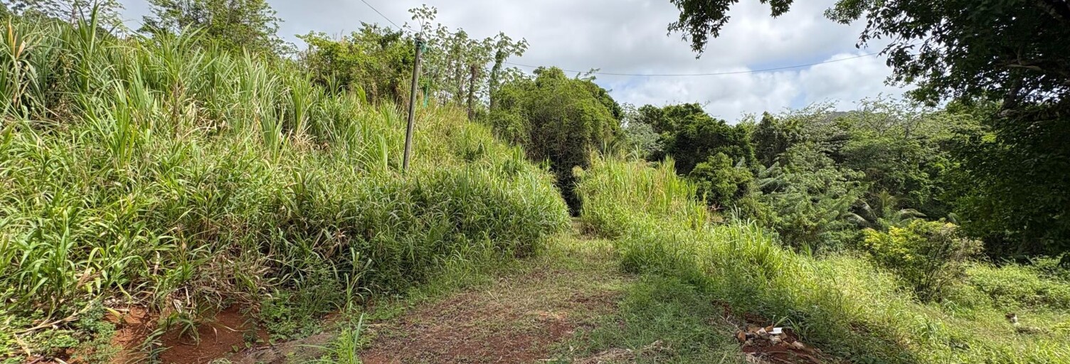 Terrain  1081 m² à vendre à Le François (97240)